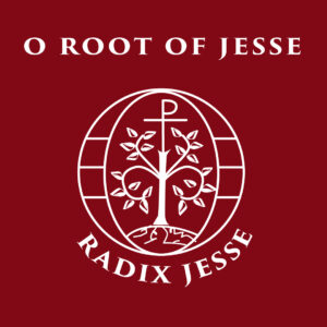 O Root of Jesse (Radix Jesse)