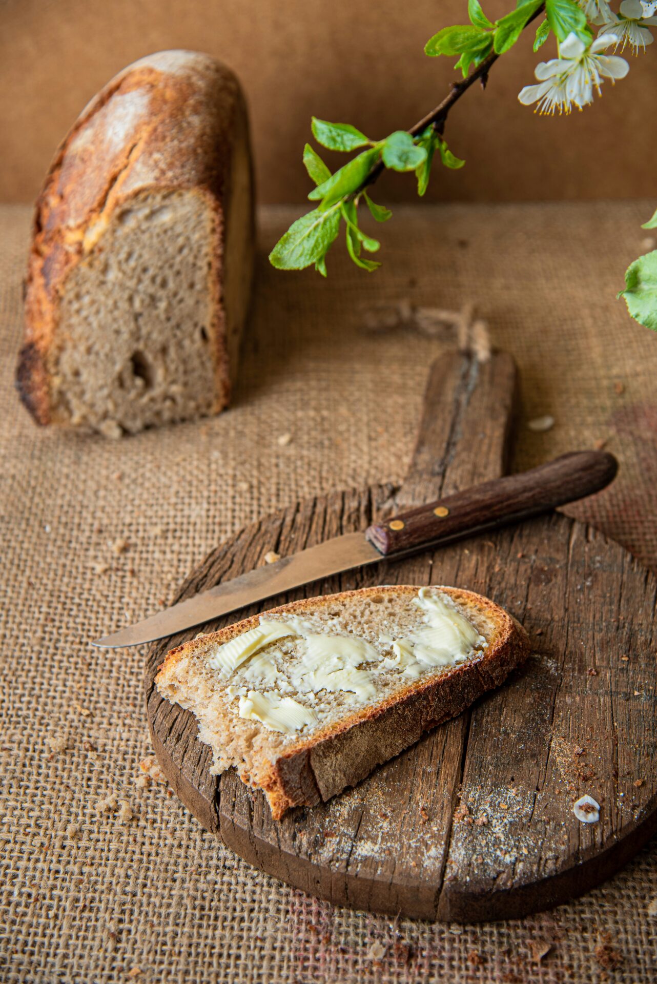 A loaf of (buttered) bread sitting on top of a wooden cutting board (joanna-stolowicz-VX8HsScDv6U-unsplash) A buttered piece of bread sits next to a knife on a cutting board. In the background is a loaf of bread, with a plant hanging from above.