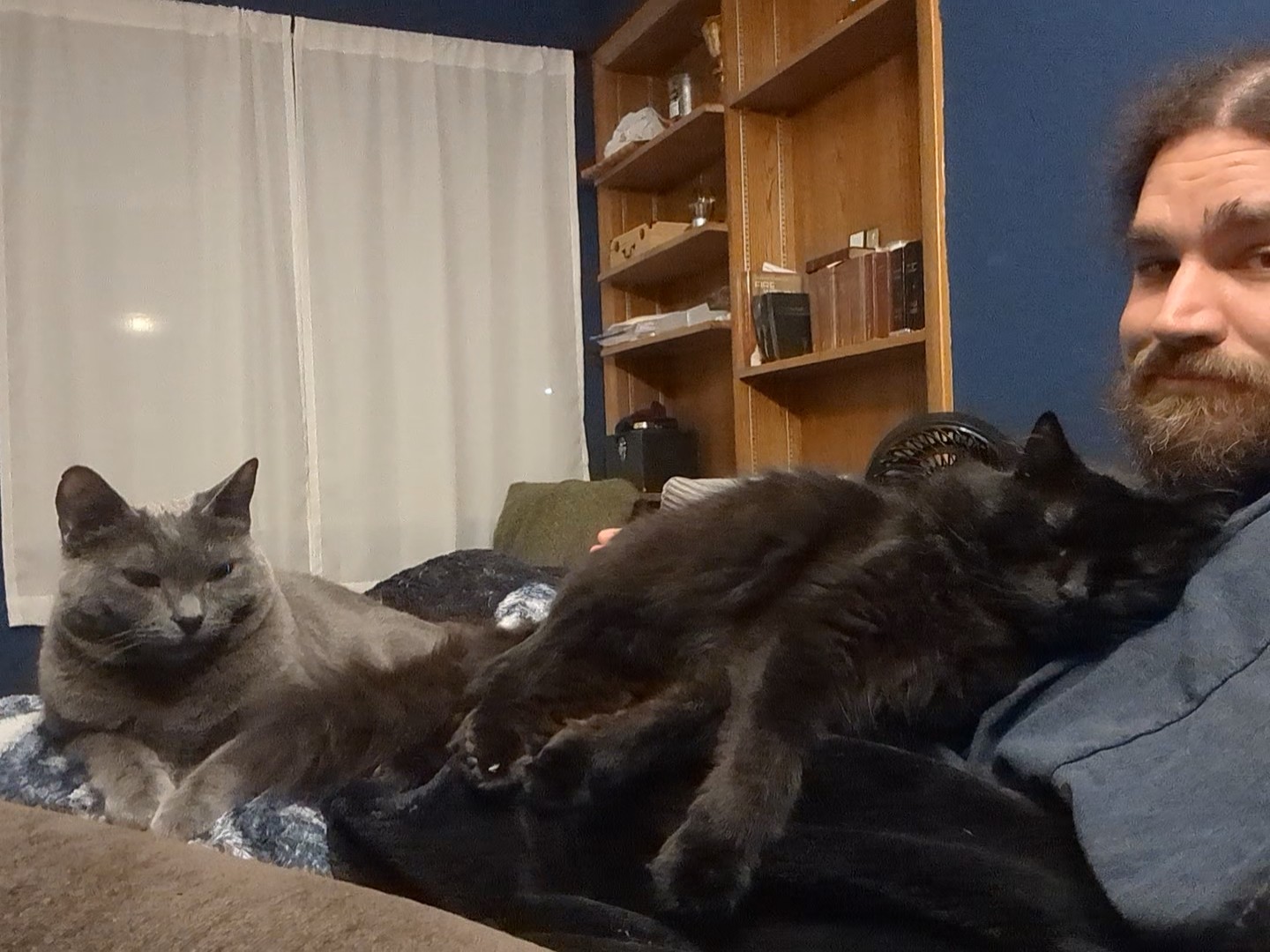 Qwerty sleeping on the author's chest (his spot!), with Nellie looking on in the Saint Mark rectory chapel